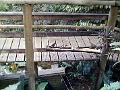 17a - Parc des Mamelles - Zoo 024